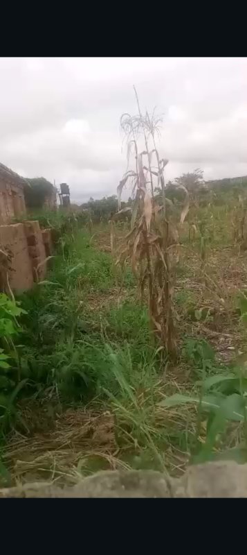 Land for Sales