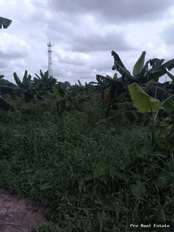 Land for Sale